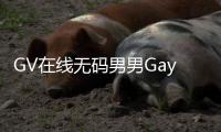 GV在线无码男男Gay作为种特定的娱乐形式，具有多种功能：