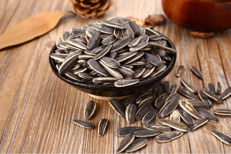 timg (1).jpg timg (1).jpg